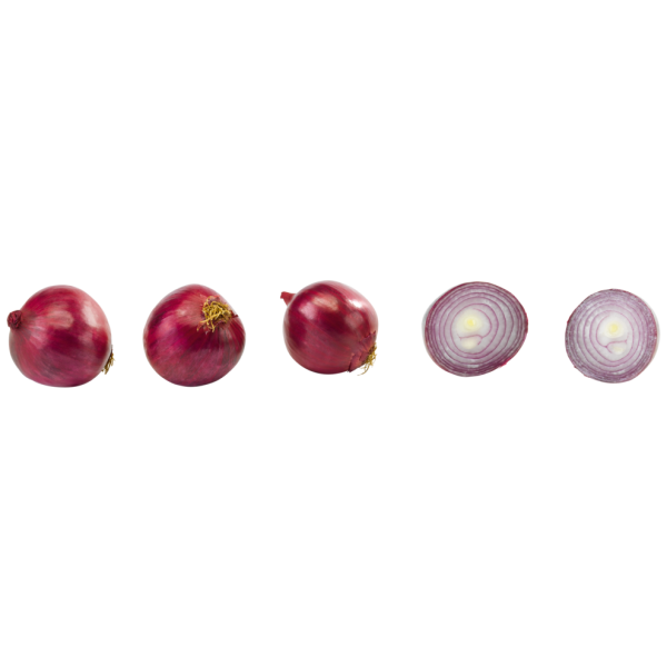 DV019_4311527099283_DET.png