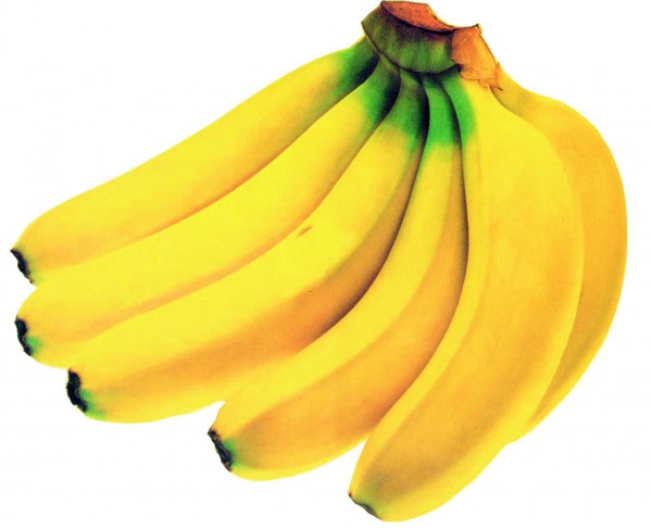 Bananen Bio, KG