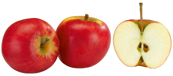 Äpfel Elstar 900g