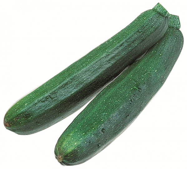 Zucchini grün