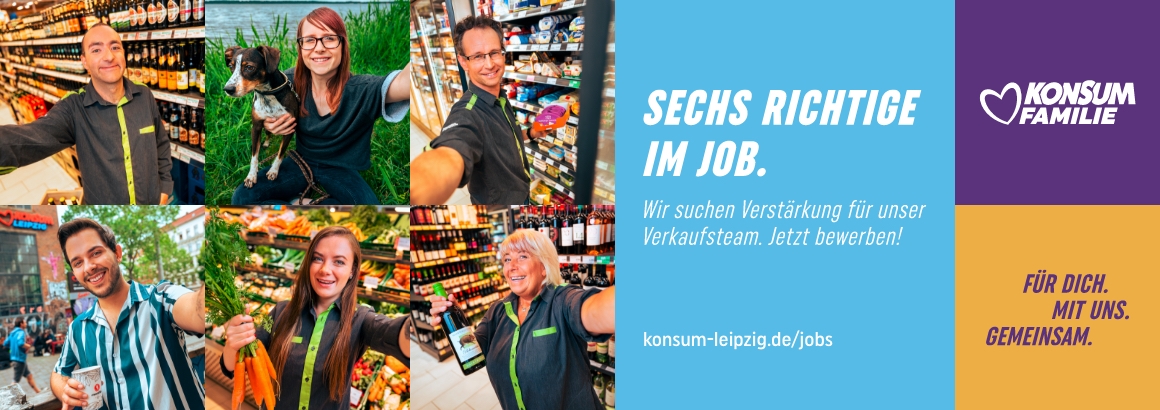 Irish Setter visual data 8